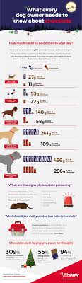 However, this is not always possible, especially with rescue dogs. How Much Chocolate Is Poisonous To Dogs Vets Now