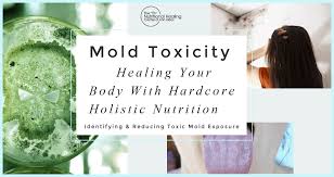 Thank you for the answer i so needed. Mold Toxicity Course Launch Effects Of Toxic Mold Exposure