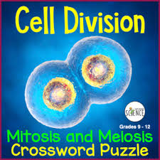 Genetic mutations pogil answer key. Mitosis And Meiosis Test Answer Key Meiosis Quiz