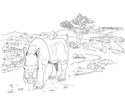 Download this running horse printable to entertain your child. Rhinoceros Coloring Page John Day Fossil Beds National Monument U S National Park Service