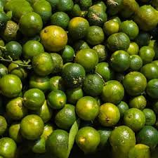 Macam pernah nampak dekat telaga arwah mak kat kampung dulu.tapi nama limau itu lain,limau. Bibit Tanaman Jeruk Limau Kasturi