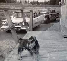 Image result for Midnight Blue 1958 Plymouth