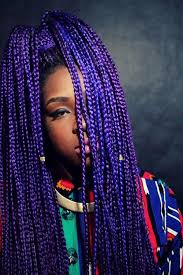 Black And Blue Box Braids Mixed Africancreature Purple Braids Photo By Liloleme Com Hair Styles Braids With Extensions Natural Hair Styles