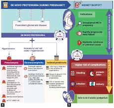 Image result for Isolated Proteinuria