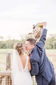 Outdoor Wedding At The Columbus Zoo Africa Center In Ohio Katee Andrew Stephanie Kase Photography Zoo Wedding Wedding Pets Columbus Zoo