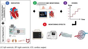 Image result for Dobutamine
