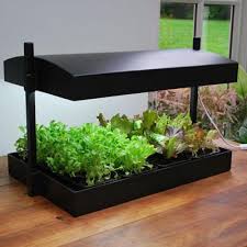 Sunblaster Grow Light Garden Harris Seeds