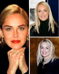 Sharon Stone, born March 10, 1958, in Meadville, Pennsylvania, transitioned  from a high-IQ small-town girl to one of the most iconic actresses of the  1990s. A former model, Stone's early film roles