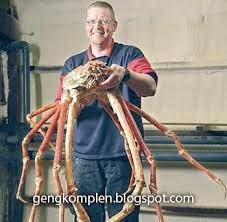 Along sr masak ketam besar atas kereta. Yang Pelik Yang Jelik Sumpahan Ketam Gergasi