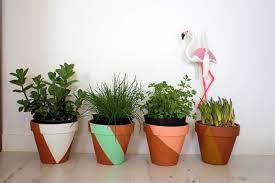 La première bombe de peinture au monde sans billes de mélange. Epingle Sur Plantes Deco Florale