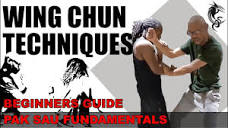 WING CHUN TECHNIQUES: PAK SAU FUNDAMENTALS - YouTube