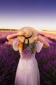 Last minute hotels in lake elsinore. 17 Best Flower Fields In California Best Seasons To View Them In 2021 Lavender Fields Carlsbad Flower Fields Flower Field