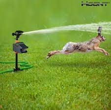 It doesn't kill or harm the animals, it just sprays them with an. Hoont Powerful Outdoor Water Jet Blaster Animal Pest Repeller Motion Activated Sprinkler Slugs In Garden Garden Pests