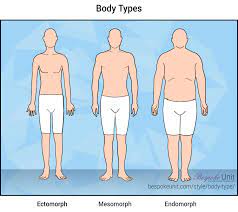 When you click in each answer box instructions appear at the bottom on how to take those measurements. The Ultimate Guide To Male Body Types Understand Your Body S Frame