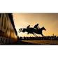 Wednesday Evening - May Jump Racing at Fontwell event image