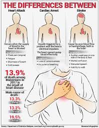A heart attack stems from a circulation, or plumbing, problem of the but you may not know about the rare heart disorders that can cause sudden cardiac arrest in young people. Bernama The Differences Between Heart Attack Cardiac Arrest Stroke