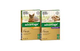Advantage For Cats Kittens Fast Acting Flea Prevention