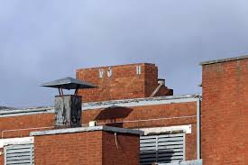 Woman killed amid Storm Doris