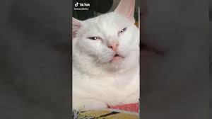 And who can say if your love grows, as your heart. Who Can Say Where The Road Goes Where The Day Goes Youtube