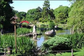 A Day In Santo Domingo Dominican Republic Jardin Botanico Real Jardin Botanico Tenerife