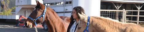 Internships Uc Davis Department Of Animal Science
