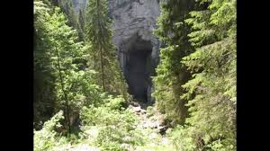 Platoul carstic padiş încantă prin peisajele pitoreşti străpunse de forme carstice sau prin fâneţele ce îmbie la relaxare. Platoul Carstic PadiÈ™ O ImpresionantÄƒ Arie PeisagisticÄƒ Din Apuseni En Padis Karst Plateau An Impressive Landscaping Area Revista Edusoft