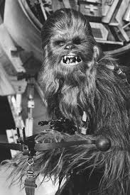 You must enter the correct code to open this chest. Star Wars How Would You Spell Chewbacca S Growl Facebook