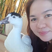 Agnes Labaguis Perez added a new photo.