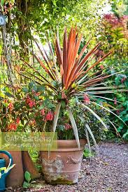 Terracotta Container Stock Photo By Robert Mabic Image 1314658
