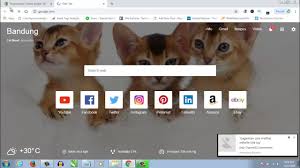 Dalam contoh berikut ini, saya mencari kalung anjing: Apakah Alamat Atau Url Laman Web Saya