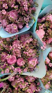 I came home from jury duty yesterday and immersed myself in something far  more beautiful. 😍, It was good for the farmer and good for you., Peony  Passport week 2 pickup is today. 💐