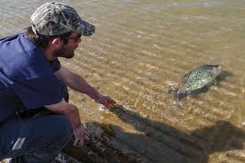 We also share information about your use of our site with our social media, advertising and analytics partners. Texas Crappie Forecast For 2015