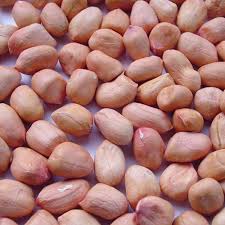 Beras merah termasuk makanan merpati biar cepat gemuk. Makanan Merpati Agar Cepat Gemuk Binatang Peliharaan