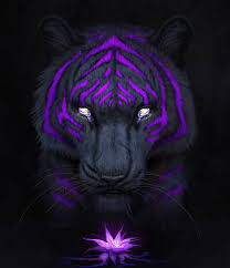 Follow the vibe and change your wallpaper every day! Purple Jademerien Tiger Black Purple Nature Painting Illustration Hd Mobile Wallpaper Peakpx
