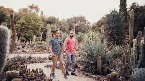 We have purchased a good size property, of which a big corner will form my cacti and succulent oasis. Double Wedding Inspiration In The Arizona Cactus Garden