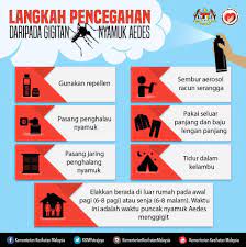 Apabila wanita hamil mengalami demam denggi, kesan buruk tidak hanya dirasai sendiri. Demam Denggi Tanda Punca Dan Komplikasi Tips Kesihatan