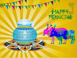 Pongal Is A Rich Festival To Show The Richness Of Tamil Culture Let Us Celebrate It Traditionally Pongalo P Happy Pongal Pongal Festival Images Pongal Images