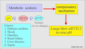 Sepsis sepsis • september 2019 • page 1 sepsis is a serious medical condition. Acid Base Balance Part 5 Bicarbonate Level Hco3 Labpedia Net