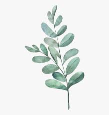 watercolour green leaves png png download watercolor leaves transparent background png download transparent png image pngitem watercolour green leaves png png