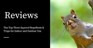 How should you choose a repellent? The Top Three Squirrel Repellents Traps For Indoor And Outdoor Use Pest Control Products