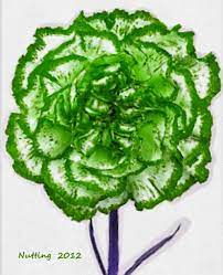 Pin By Bruce Nutting On Flowers By Bruce Nutting Carnation Tattoo Blue Carnations Carnation Flower