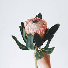 Pin On Inspiration