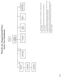 Organizational Structure Of Metlife Inc And Subsidiaries