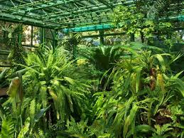 Gradina botanica parc din bucuresti. GrÄdina BotanicÄ Dimitrie BrandzÄ Din BucureÈti Planiada