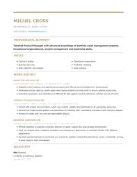 basic resume templates hloom