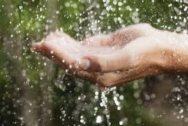 Encuentra los mejores vídeos de lluvia. Como Aprovechar El Agua De Lluvia Rotoplas Centroamerica