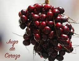 La palma africana (elaeis guineensis), el nolí o palma americana nolí (elaeis oleifera) y el corozo colorado (elaeis odora). Jugo De Corozo Picture Of Josefina Santa Marta Tripadvisor