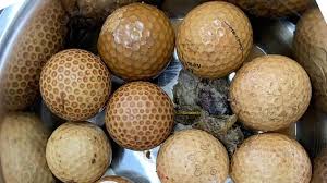 Vet Removes 10 Golf Balls From Labrador S Stomach Bbc News