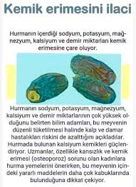 Hurmanin Faydalari Saglik Hurma Saglik Ipuclari