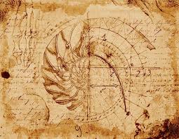 Ginevra de' benci, ca.1474 source: Lost Page Leonardo Da Vinci Codex The Golden Spiral Da Vinci Art Da Vinci Inventions Da Vinci Sketches